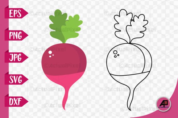 Beetroot Outline with Color Image: A Creative Design Asset