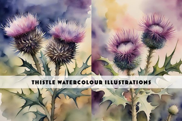 Thistle Watercolour Duo: Soft, Organic Digital Art Assets