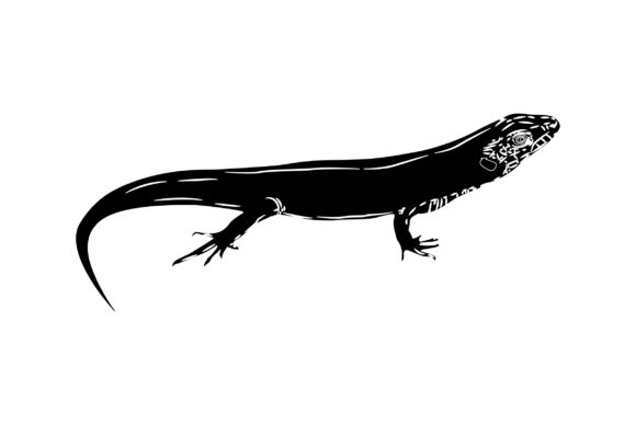 Unleash Your Brand’s Wild Side with Lizard Vector Art